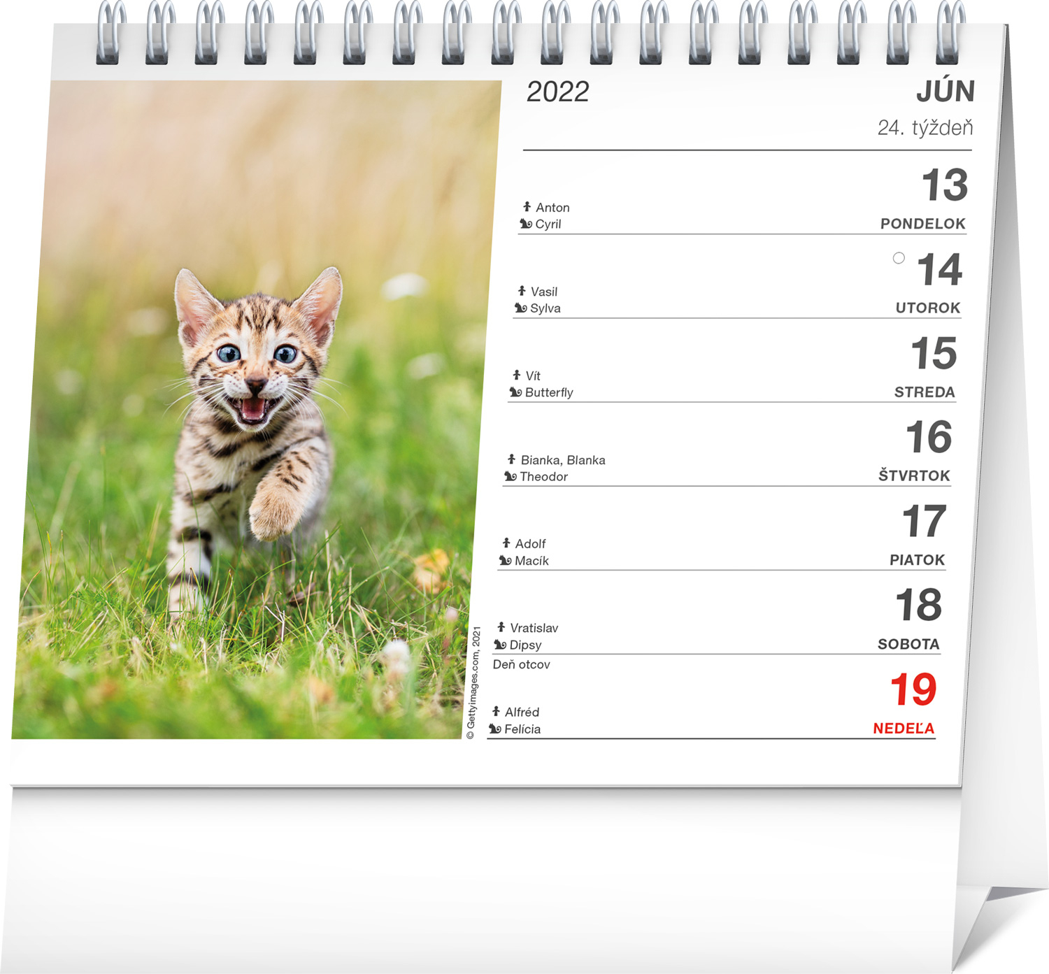 stolovy-kalendar-macky-s-menami-maciek-2022-16-5-13-cm-473839--31
