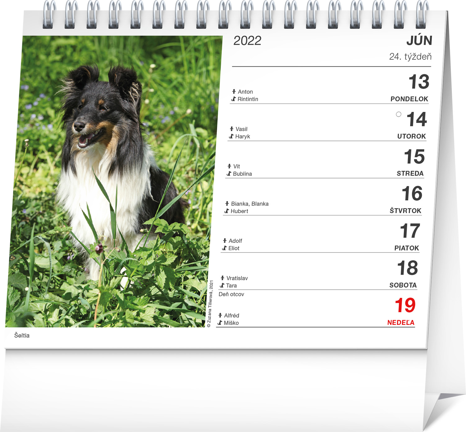 stolovy-kalendar-psy-s-menami-psov-2022-16-5-13-cm-185885--31
